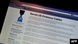Wikileaks stranica