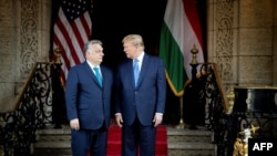 دونالد ترامپ، رئیس‌جمهور منتخب ایالات متحده (سمت راست) و ویکتور اوربان، نخست‌وزیر مجارستان