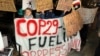 В Азербайджані відкрилася Конференція ООН з клімату COP29