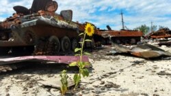 Rusia va reveni în acordul de transport al cerealelor prin Marea Neagră. Un consilier prezidențial ucrainean spune că Rusia a eșuat în planul său de „șantaj”.